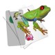 Stickers interactifs 3D animaux sauvages Holotoyz